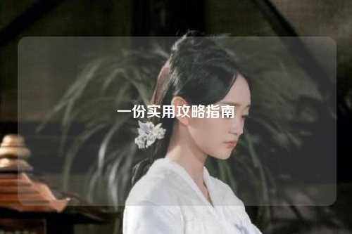 一份实用攻略指南