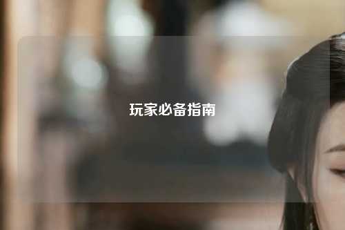 玩家必备指南