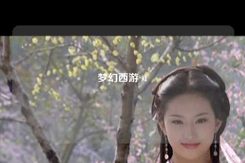 梦幻西游 sf